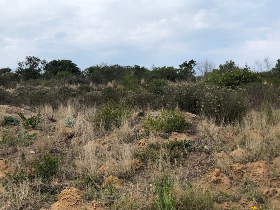 0 Bedroom Property for Sale in Reebok Western Cape